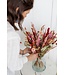 Bouquet de fleurs séchées Amelia | Bouquet sec aux couleurs romantiques | Longueur 70 cm | Commande par bouquet