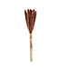 Dried brown Babala | Pearl millet dried flowers | Length ± 75 centimetres | Available to order per 10 pieces