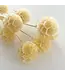 Wit gebleekte Escabiosa | Scabiosa droogbloemen | Lengte 30 centimeter - Per 10 bloemen te bestellen