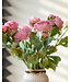 Roze Ranonkel zijden bloem "Pink Ranunculus" | Tak met 3 bloemen | Lengte 50 centimeter | Per tak te bestellen