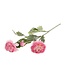 Roze Ranonkel zijden bloem "Pink Ranunculus" | Tak met 3 bloemen | Lengte 50 centimeter | Per tak te bestellen