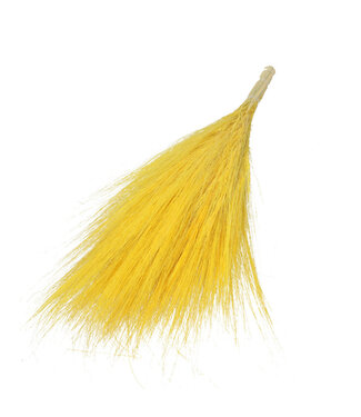 MyFlowers Yellow Barba de Bode | Goat's Beard dried flowers | Length ± 55 centimetres | Per bunch