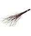 Brown natural dried birch branches | Length ± 60 cm | Order per bunch of 20 branches