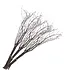 Brown natural dried birch branches | Length ± 60 cm | Order per bunch of 20 branches