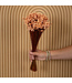 Fleurs de Glixia Star séchées de couleur saumon | Fleurs de Glixia Star séchées de couleur saumon | Longueur ± 50 cm | Commande par bouquet