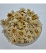 Weiße Helichrysum-Köpfe | In praktischem wiederverschließbarem Eimer | Pro 100 Gramm bestellbar