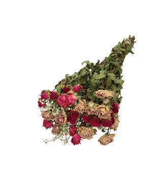 DriedRoses.com Mi Amor Fuchsia | Sträußchen mit 8 fuchsiafarbenen Sprayrosen 2 Zweige weißer Schleierkraut | Pro Strauß