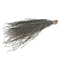 Black dried birch branches | Length ± 60 cm | Order per bunch of 10 branches