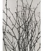 Black dried birch branches | Length ± 60 cm | Order per bunch of 10 branches