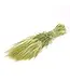 Getrocknete grüne Naturgerste | Hordeum Trockenblumen | Länge 70 Zentimeter | Stückweise bestellen