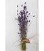 Herbe à canaris séchée violet Milka | Fleurs séchées de Phalaris violet Milka | Longueur ± 65 cm | Commande par bouquet