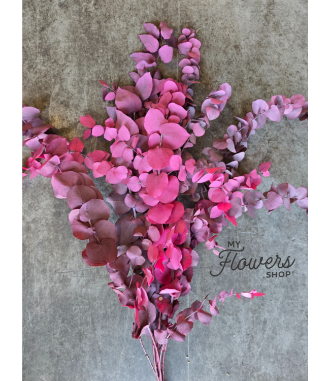Pink preserved Eucalyptus Stuartiana | Length ± 60 cm | Ordered per bunch