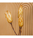 Bois de sucre séché jaune | Fleurs séchées Protea Repens jaune | Longueur 40 centimètres | Commandé par 3 pièces