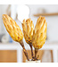 Bois de sucre séché jaune | Fleurs séchées Protea Repens jaune | Longueur 40 centimètres | Commandé par 3 pièces