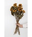 Yellow natural dried French sunflowers | Length 60 - 65 centimetres | Available to order per bunch of 10 pieces