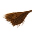 Herbe à plumes séchée brun chocolat | Stipa ou Stypa Penata brun | Longueur 55 centimètres | Conditionnement par dix touffes