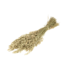 Fleurs séchées de Bromus naturel | Dravik doux séché | Longueur 65 centimètres | Commande par bouquet