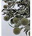 Naturally White Globe Thistles | Echinops Dried Flowers | Length ± 65 cm | Available to order per 5 stems