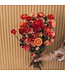 Dried salmon-coloured Helichrysum | Salmon-coloured straw dried flowers | Length 55 centimetres | Order per bunch