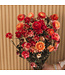 Dried salmon-coloured Helichrysum | Salmon-coloured straw dried flowers | Length 55 centimetres | Order per bunch