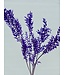 Ruscus violet fleurs séchées | Longueur 65 centimètres | Commande par 5 branches