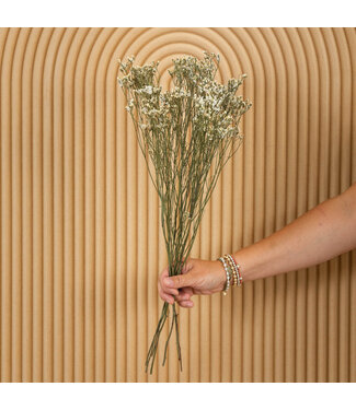 MyFlowers Lavande de mer séchée blanche | Fleurs séchées de Limonium Diamond blanc | Longueur ± 70 cm | Par 5 tiges