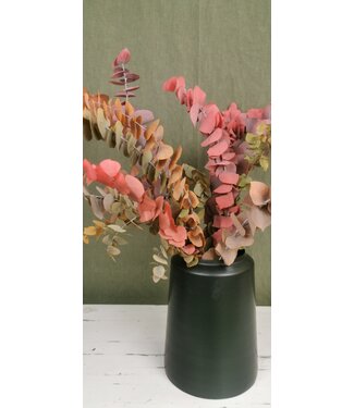 MyFlowers Herbstmischung konserviert Eucalyptus Stuartiana | Länge ± 60 cm | Pro Strauß
