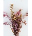 Mélange d'automne réservé Eucalyptus Stuartiana | Longueur ± 60 cm | Commande par bouquet