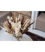 Bouquet of dried flowers Maria | Dry bouquet in brown and bleached shades | Length 70 centimetres | Order per bouquet