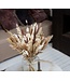 Bouquet of dried flowers Maria | Dry bouquet in brown and bleached shades | Length 70 centimetres | Order per bouquet