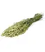 Dried green natural oats | Avena dry flowers | Length 70 centimetres | Order by piece