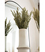 Dried green natural oats | Avena dry flowers | Length 70 centimetres | Order by piece