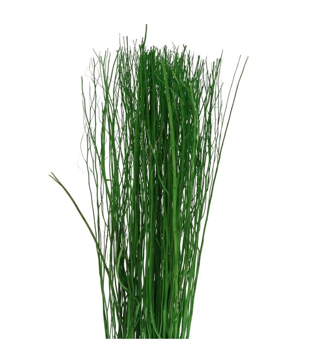Branche Yanagi vert pomme déco séchée | Branches séchées | Poids 250 grammes | Commandable à l'unité