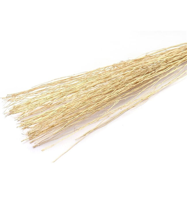 Golden Yanagi branch dried deco | Dried branches | Weight 250 grams | Available per piece