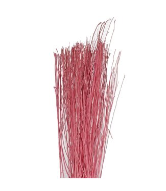 4A Branche de Yanagi rose clair déco séchée | Branches séchées | Poids 250 grammes | À l'unité