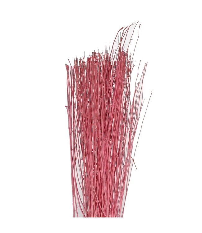 Branche Yanagi rose clair déco séchée | Branches séchées | Poids 250 grammes | À commander à l'unité
