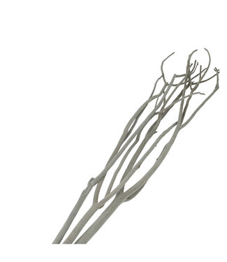 4A Mitsumata gris flocon déco séchée | Branches séchées | Longueur 115 centimètres | 3 branches par bouquet | À l'unité