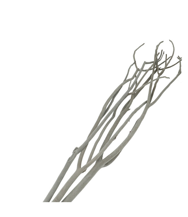 Mitsumata gris en flocons déco séchée | Branches séchées | Longueur 115 centimètres | 3 branches par bouquet | Disponible à l'unité