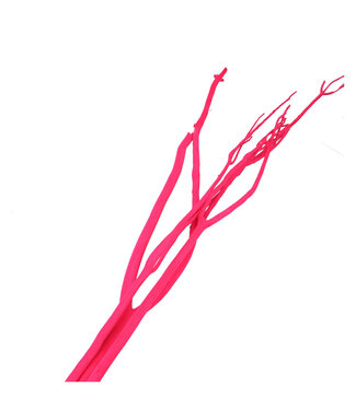 4A Mitsumata couleur fuchsia flocon déco séché | Branches séchées | Longueur 115 centimètres | 3 branches par bouquet | À l'unité