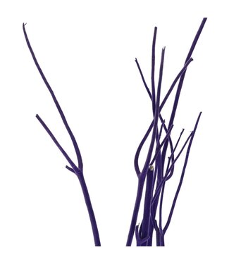 4A Mitsumata lilas en flocons pour décoration sèche | Branches séchées | Longueur 115 centimètres | 3 branches par bouquet | À l'unité