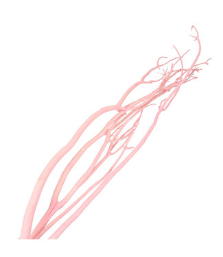 4A Mitsumata flocon rose clair déco séchée | Branches séchées | Longueur 115 centimètres | 3 branches par bouquet | À l'unité