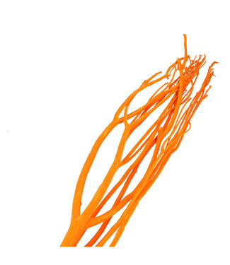 4A Mitsumata orange flocon déco séchée | Branches séchées | Longueur 115 centimètres | 3 branches par bouquet | À l'unité