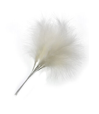 4A Plumes de mariage couleur champagne sur fil | Longueur 25 centimètres | 6 plumes par bouquet | À l'unité