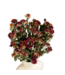 Roses en grappes séchées jaune-rouge | Longueur 50 centimètres | Commande par 10 roses