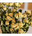 Roses blanches séchées en grappe | Longueur 50 centimètres | Commande par 10 roses