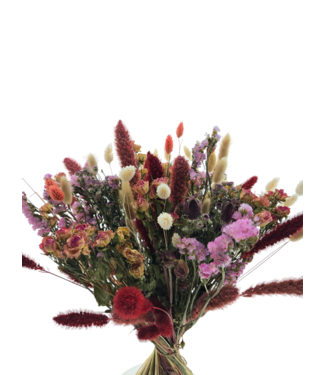 MyFlowers Bouquet de fleurs séchées Pink Secret XL | Bouquet de fleurs séchées aux couleurs roses | Longueur 60 centimètres | Par bouquet