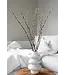 Natürliche getrocknete Weidenkätzchen | Natürliche Salix-Trockenblumen | Länge 70 Zentimeter | Bestellung pro 20 Zweige