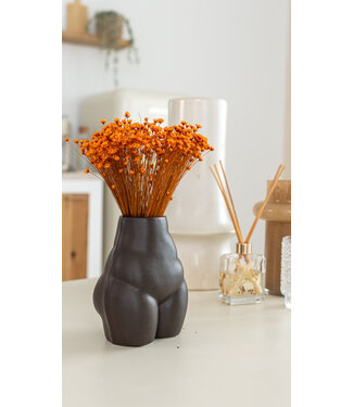 MyFlowers Fleurs de clochettes séchées orange | Fleurs étoilées Glixia orange | Longueur ± 50 cm | Par bouquet