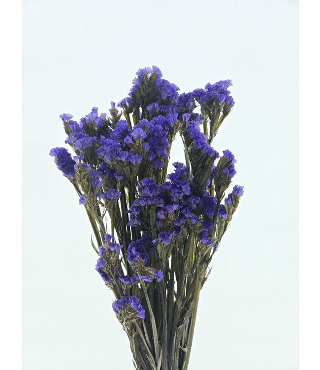 Statice Limonium préservé violet | Longueur ± 65 centimètres | À commander par bouquet de fleurs séchées