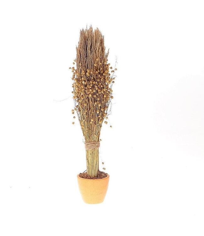Naturally dried Tissi Nanal grass in pot | Diameter 12 centimetres | Height 53 centimetres | Available to order in sets of 4